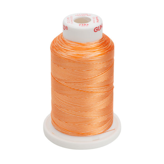 Sulky 40 Ombré  2103 Viscose 1000 m